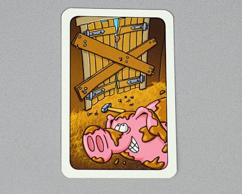 Schwein lacht vor von innen mit Brettern verbarrikadierter Stalltür